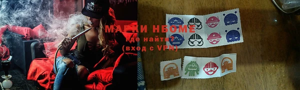 крисы Покачи