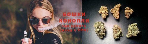 дмт Бородино