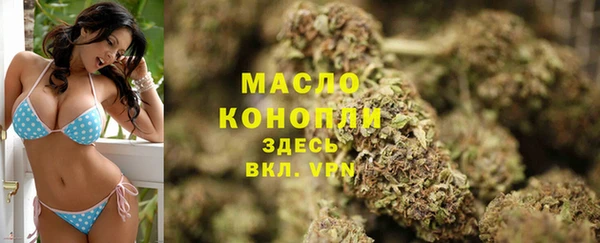 дмт Бородино