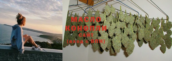 дмт Бородино